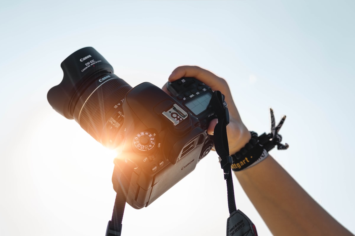 Wedding photographer